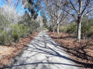 things to do in san benito county